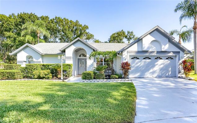 15101 Bald Eagle Street TAMPA, FL House Sold - Photo 1 of 1. Opens carousel modal