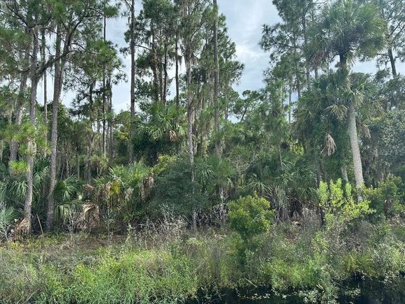 Lake Harney Circle GENEVA, FL Plot of land Active - Photo 1 of 11. Opens carousel modal