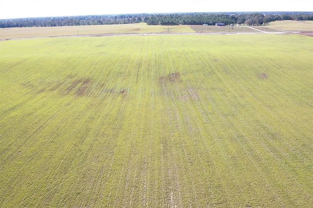 NW 72nd Place BELL, FL Plot of land Active - Photo 1 of 8. Opens carousel modal