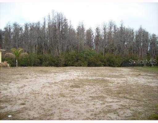 14834 Man O War Drive Odessa, FL Plot of land Sold - Photo 1 of 1. Opens carousel modal