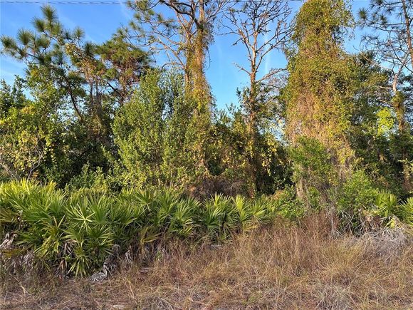 12905 Casa Bianca Avenue NEW PORT RICHEY, FL Land Sold - Photo 1 of 1. Opens carousel modal