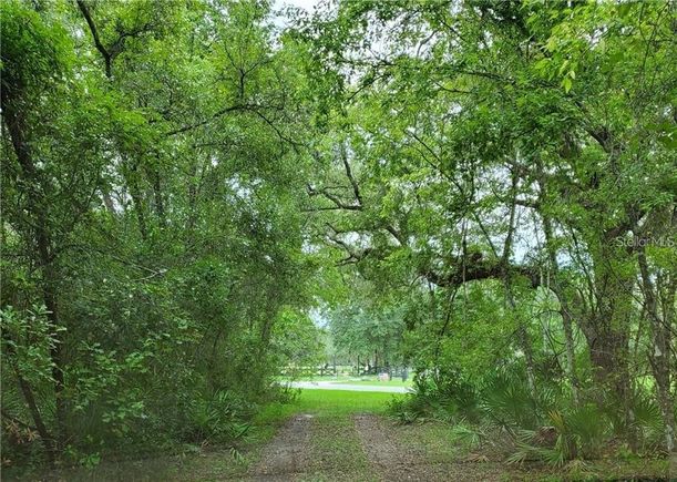 9001 Treiman Boulevard WEBSTER, FL Plot of land Active - Photo 1 of 40. Opens carousel modal