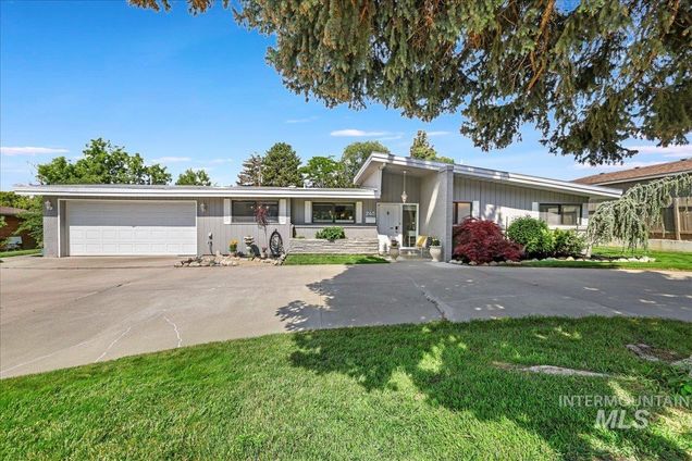 245 Larkspur