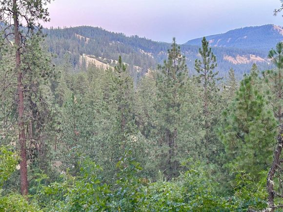 Highland Ct Orofino, ID Plot of land Active - Photo 1 of 16. Opens carousel modal