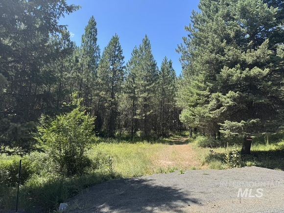 665 Green Rd Orofino, ID Plot of land Active - Photo 1 of 20. Opens carousel modal