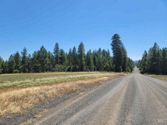 Parcel 2 Green Road Orofino, ID Plot of land Active - Photo 1 of 8. Opens carousel modal