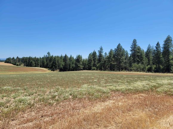 Parcel 3 Green Road Orofino, ID Plot of land Active - Photo 1 of 8. Opens carousel modal