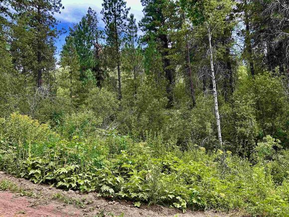 Lot 165 Johnson Creek Boise, ID Plot of land Active - Photo 1 of 10. Opens carousel modal