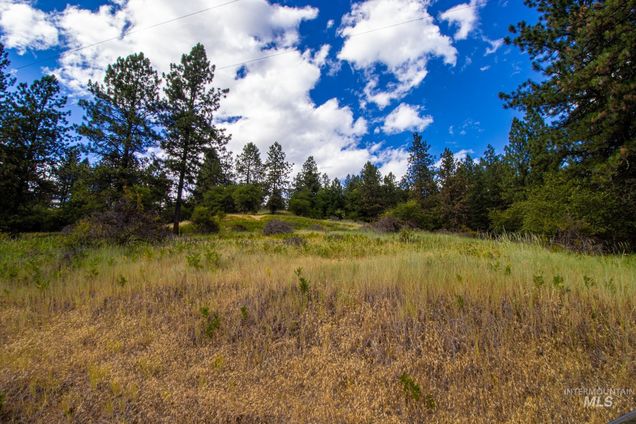 0 Whitetail Drive Ahsahka, ID Plot of land Active - Photo 1 of 17. Opens carousel modal