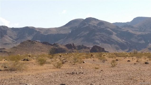 91.58 Acres Oatman Highway Mohave Valley, AZ Plot of land Sold - Photo 1 of 14. Opens carousel modal