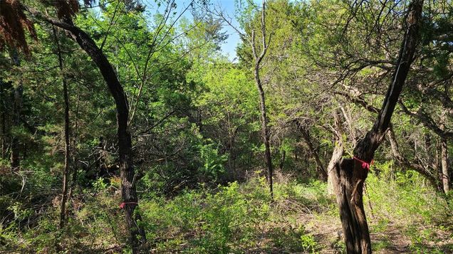 6 Summit Place Cedar Hill, TX Plot of land Sold - Photo 1 of 1. Opens carousel modal