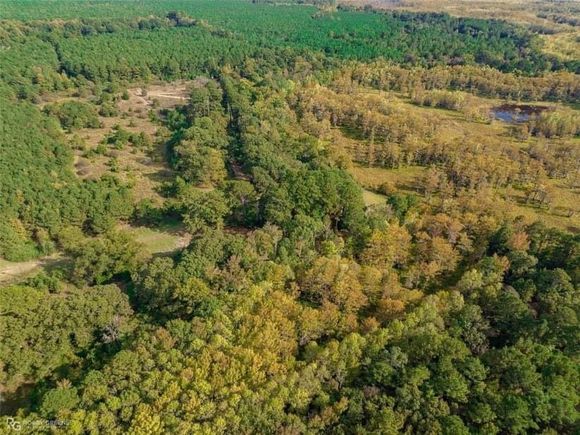 9089 Mira Myrtis Road Rodessa, LA Plot of land Sold - Photo 1 of 1. Opens carousel modal