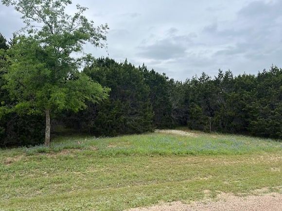 1759 Highland Drive Whitney, TX Plot of land Active - Photo 1 of 32. Opens carousel modal