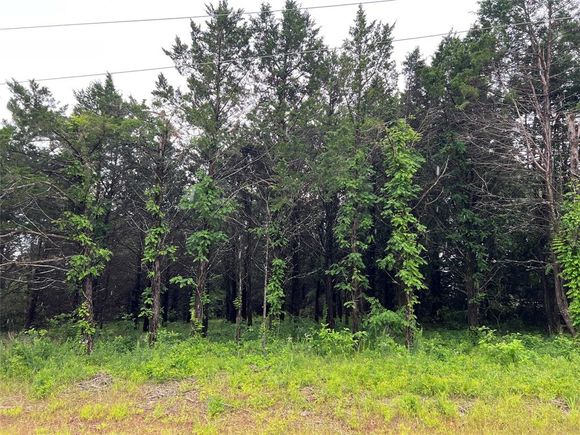 207 Pine Gordonville, TX Plot of land Sold - Photo 1 of 1. Opens carousel modal