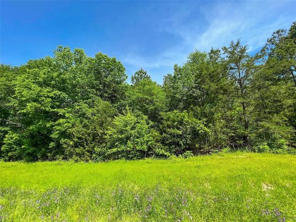 Tbd Fm 195 / Cr 2456 Clarksville, TX Plot of land Active - Photo 1 of 6. Opens carousel modal