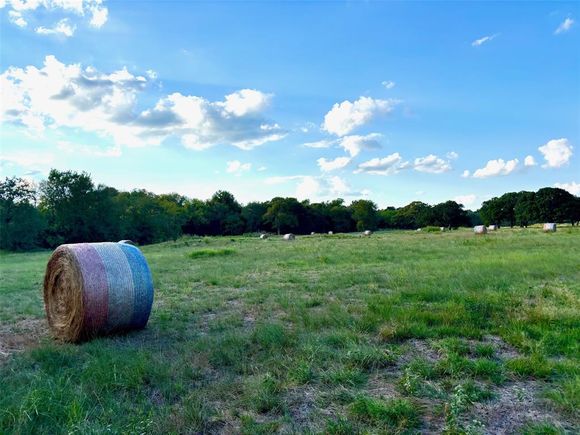 Tbd Cr 4410 Commerce, TX Plot of land Active - Photo 1 of 12. Opens carousel modal