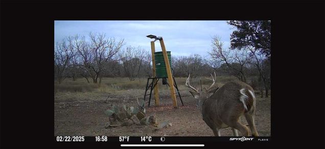 101 Sika Spur Brady, TX Plot of land Active - Photo 1 of 18. Opens carousel modal