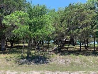 16012 Faircrest Drive Whitney, TX Plot of land Active - Photo 1 of 1. Opens carousel modal