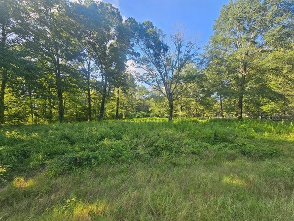 588 Ranchette Stonewall, LA Plot of land Active - Photo 1 of 1. Opens carousel modal