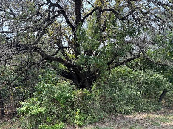 15042 Golf Drive Whitney, TX Plot of land Active - Photo 1 of 5. Opens carousel modal