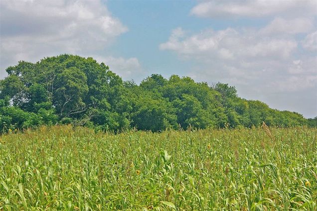 2417 County Road 211 Alvarado, TX Plot of land Active - Photo 1 of 11. Opens carousel modal