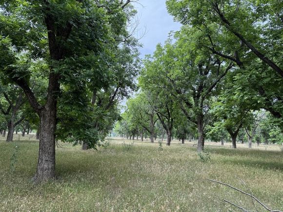 3024 E Landings N Granbury, TX Plot of land Active - Photo 1 of 2. Opens carousel modal