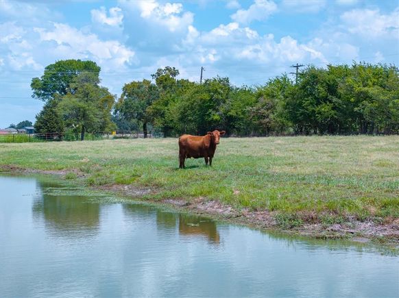 Tbd Vz County Road 2120 Canton, TX Plot of land Active - Photo 1 of 17. Opens carousel modal