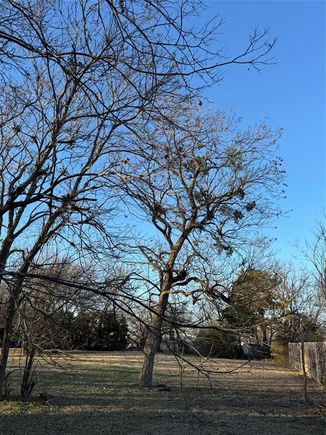 208 John Fielder Drive Southmayd, TX Plot of land Active - Photo 1 of 4. Opens carousel modal