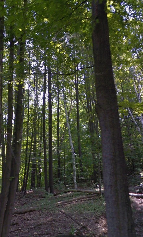 Lot 3 Feeding Hls Rd  