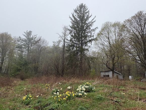 63 Sugar Hill Road Chesterfield, MA Plot of land Sold - Photo 1 of 12. Opens carousel modal