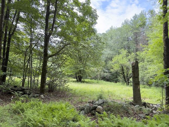 0 John Ford Road Ashfield, MA Land Active - Photo 1 of 9. Opens carousel modal