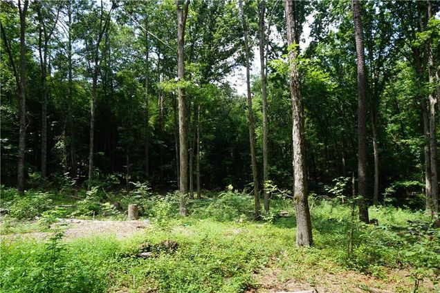 0 Buttrum Adairsville, GA Land Sold - Photo 1 of 1. Opens carousel modal