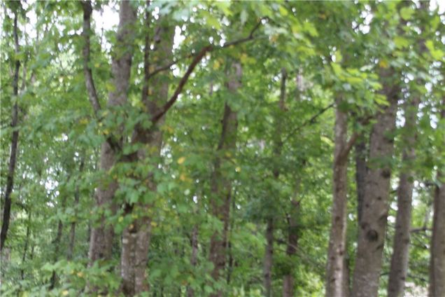 243 Lakeview Terrace Dallas, GA Land Active - Photo 1 of 8. Opens carousel modal