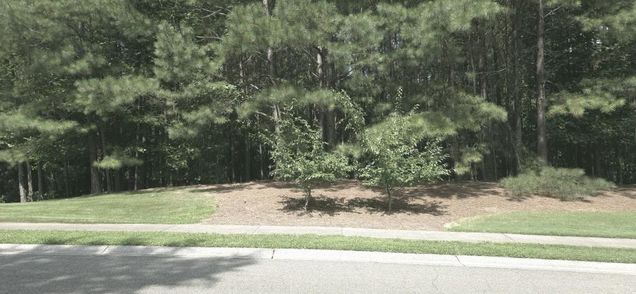 815 Waterford Estates Manor Canton, GA Land Contingent - Photo 1 of 8. Opens carousel modal