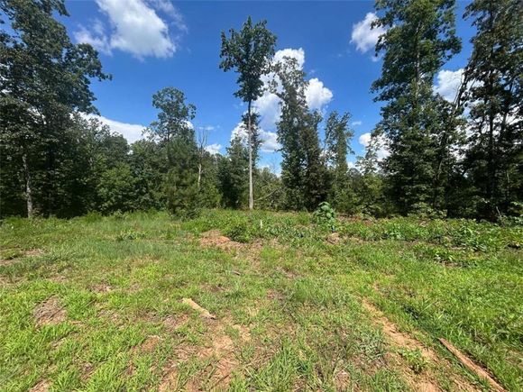 908 Sardis Road Canton, GA Land Active - Photo 1 of 17. Opens carousel modal