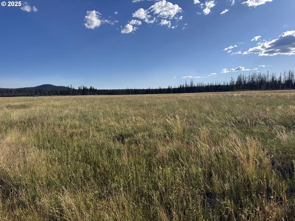 White Birch Way Unit 10 Bly, OR Plot of land Active - Photo 1 of 24. Opens carousel modal