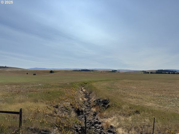 Hindman Elgin, OR Plot of land Active - Photo 1 of 1. Opens carousel modal