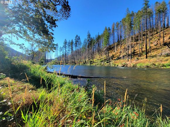 48116 Conley Rd Vida, OR Plot of land Sold - Photo 1 of 1. Opens carousel modal