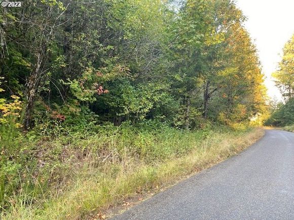 Mcgowan Creek Rd Springfield, OR Plot of land Active - Photo 1 of 5. Opens carousel modal