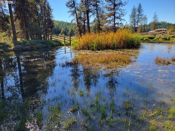 71002 Promise Rd Wallowa, OR Plot of land Active - Photo 1 of 6. Opens carousel modal