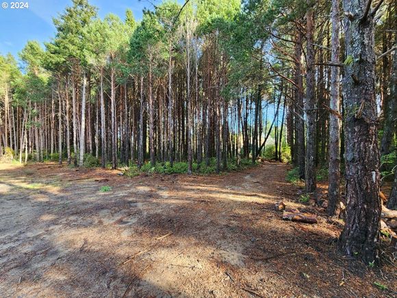 Kreiger Ln Unit 123 PortOrford, OR Plot of land Active - Photo 1 of 8. Opens carousel modal