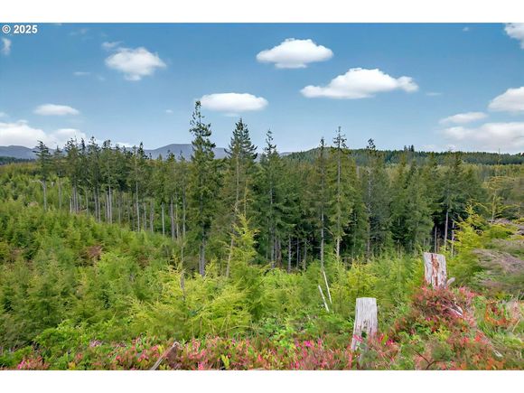 4 Parpala Rd Unit 4 Naselle, WA Land Active - Photo 1 of 18. Opens carousel modal