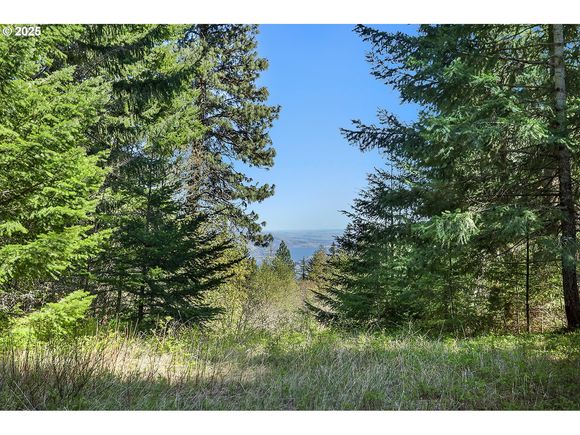 101 Cooke Rd WhiteSalmon, WA Plot of land Active - Photo 1 of 35. Opens carousel modal