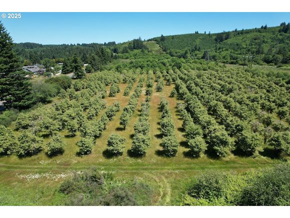 Vl Off Hwy 30 Astoria, OR Plot of land Active - Photo 1 of 8. Opens carousel modal