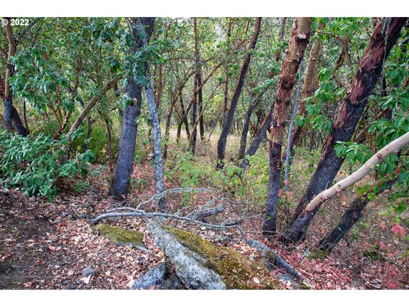 0 North Ct Riddle, OR Plot of land Active - Photo 1 of 5. Opens carousel modal