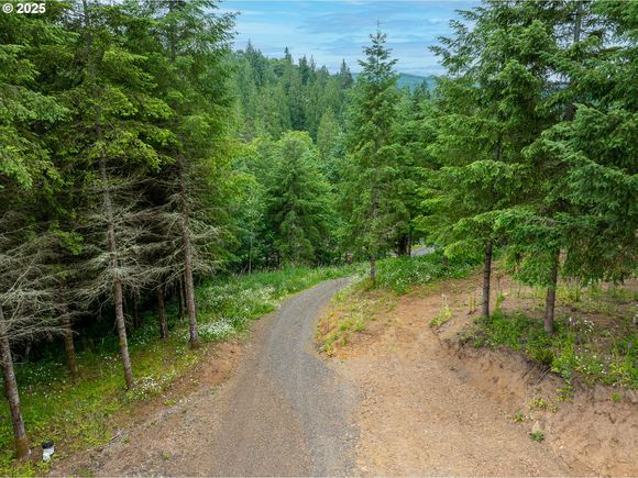 0 Mahaffey Rd Kelso, WA Land Active - Photo 1 of 28. Opens carousel modal
