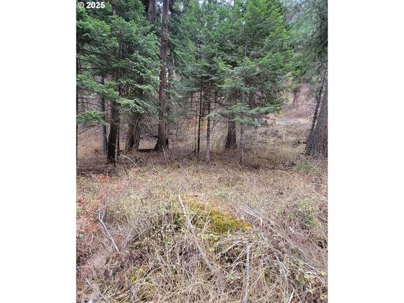 Chief Joseph Way Imnaha, OR Plot of land Pending - Photo 1 of 3. Opens carousel modal