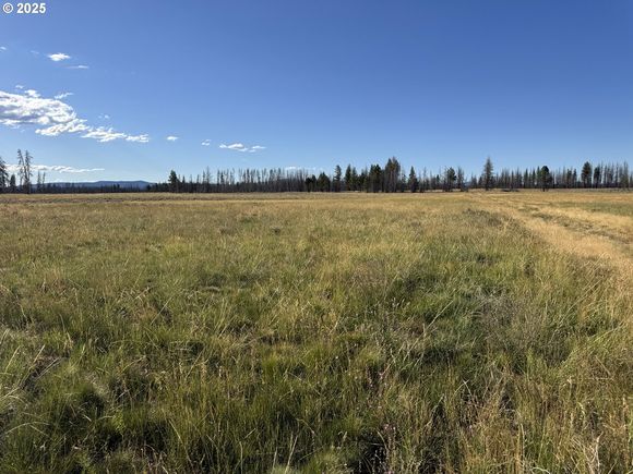 White Birch Way Unit 9 Bly, OR Plot of land Active - Photo 1 of 24. Opens carousel modal