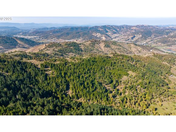 0 Buckhorn Rd Roseburg, OR Plot of land Active - Photo 1 of 34. Opens carousel modal