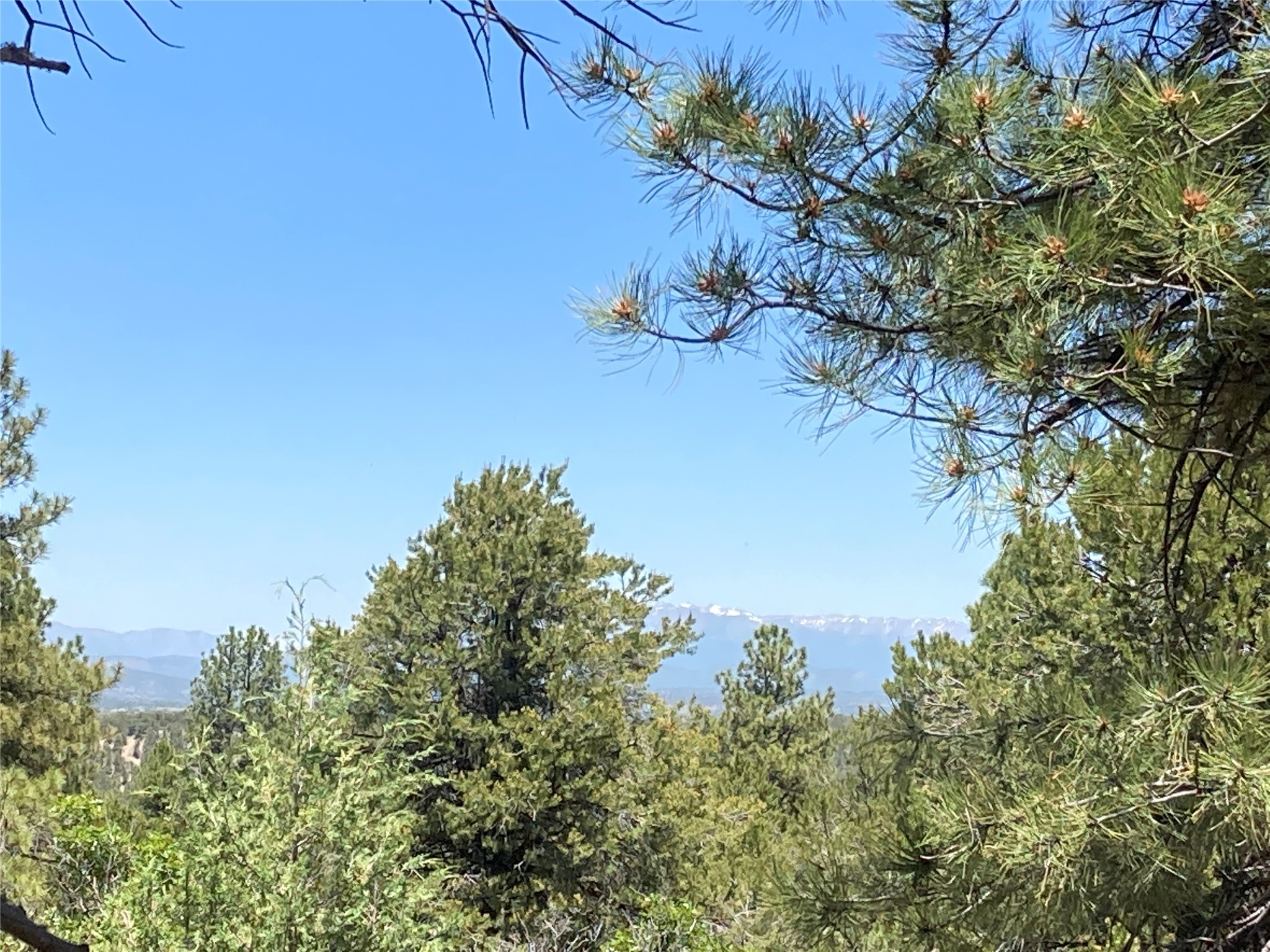 Tbd Unit 4 Lot 24 Talavera  